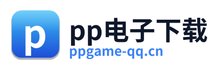 pp电子下载